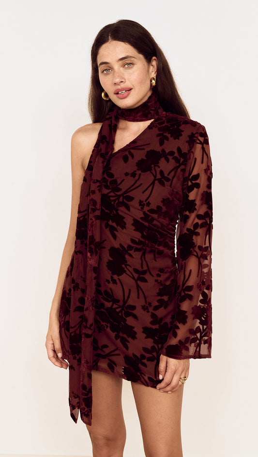 Velvet Devoré Mini Dress with Scarf Detail in Chocolate displayed on a model featuring floral velvet design and asymmetric neckline.