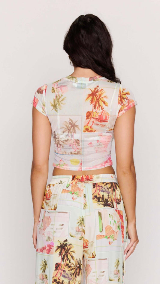 Back view of the Palm Print Cropped Mesh Tee showcasing its vintage postcard print and fitted design.