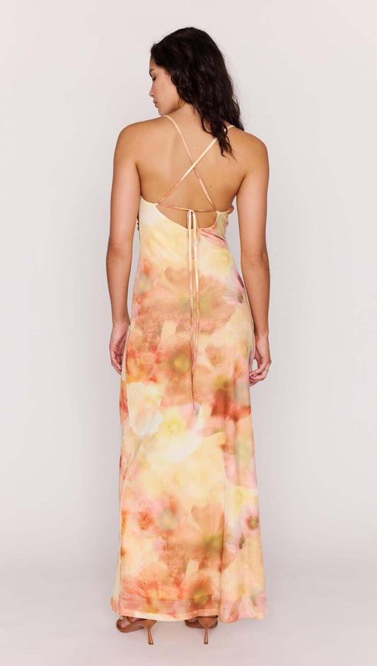 Back view of the Sunset Tonal Mesh Maxi Dress featuring a watercolour floral print and adjustable ties.
